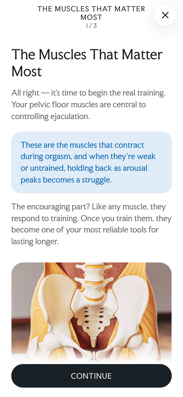 Lesson explaining the pelvic floor muscles with an anatomy illustration